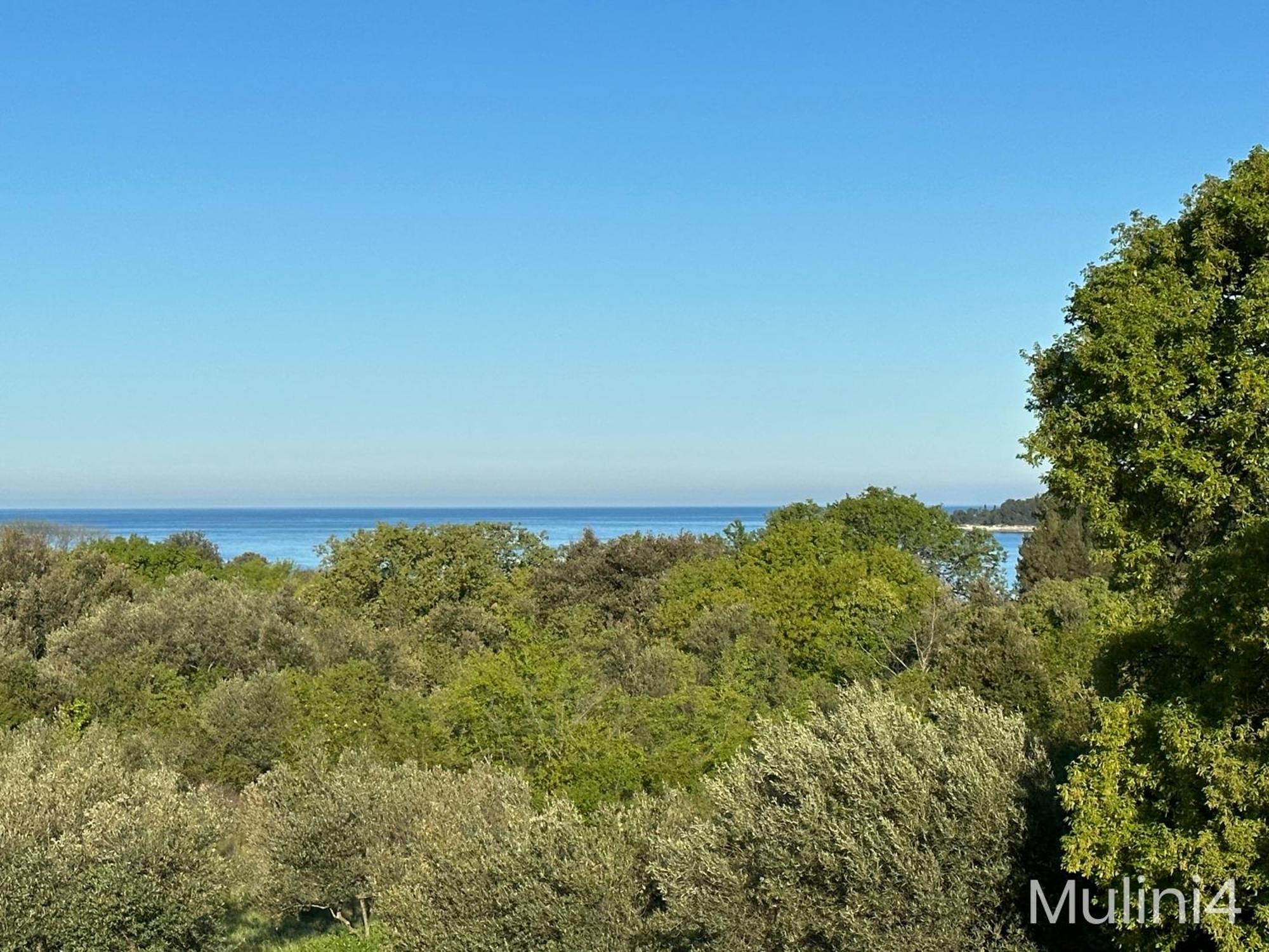 Vala Apartments Rovinj Exterior photo